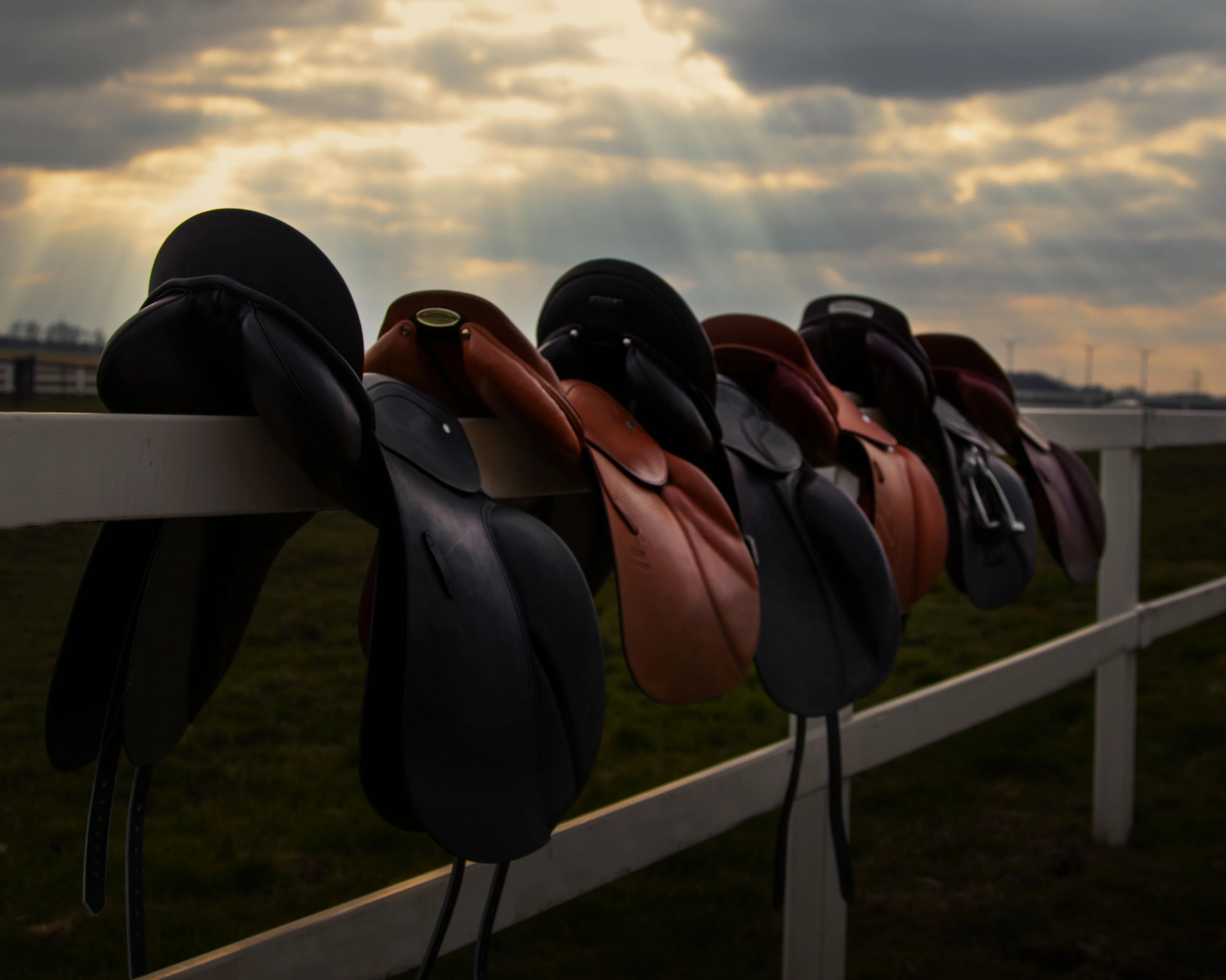 Ausgewählte Sattelmodelle