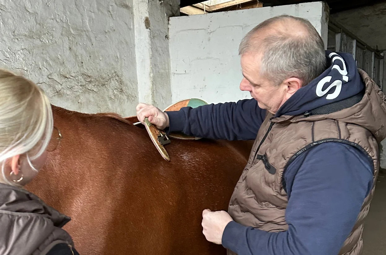 Sattelanalyse am Pferd